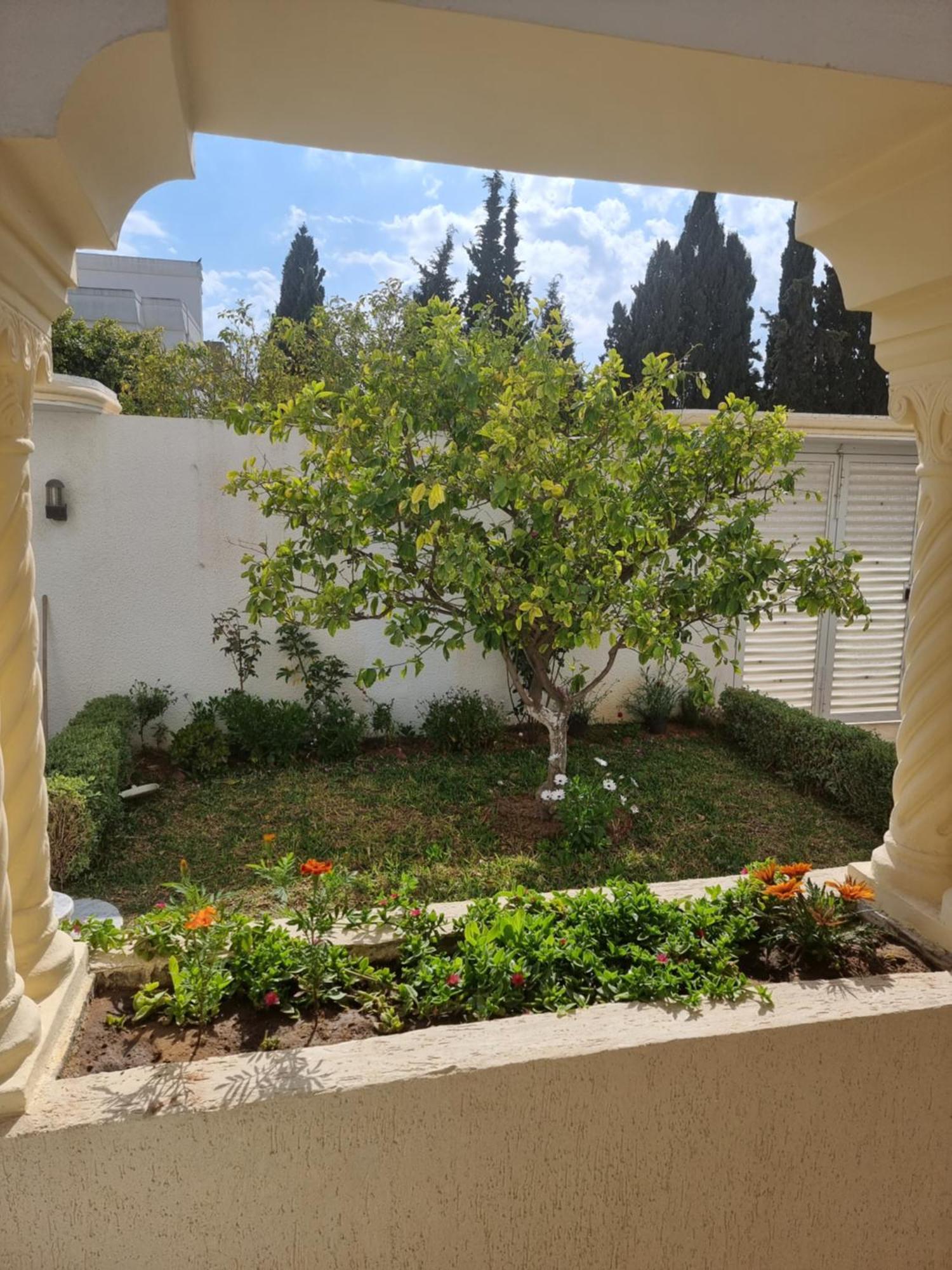 Appartements De Luxe Pres De La Mer Nabil Dış mekan fotoğraf