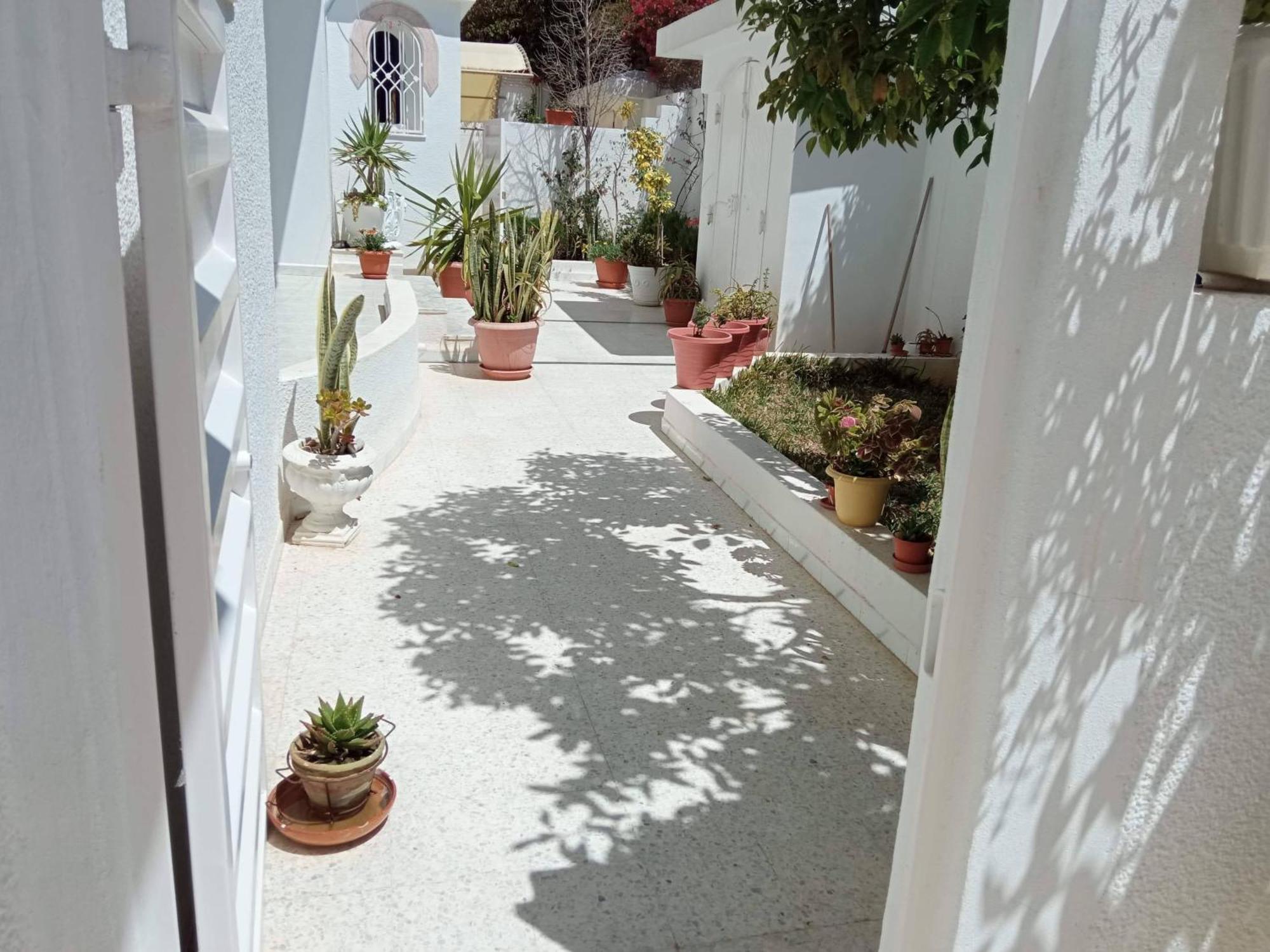 Appartements De Luxe Pres De La Mer Nabil Dış mekan fotoğraf